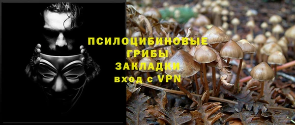 амф Абинск